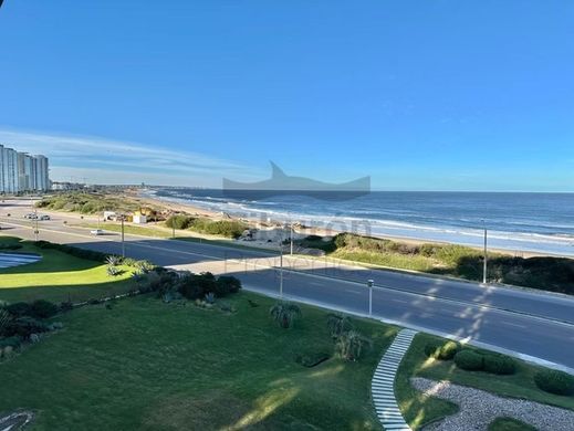 Appartement in Punta del Este, Punta Del Este