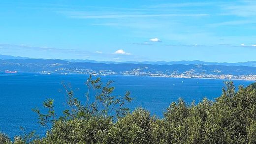 Arsa Portorož, Piran