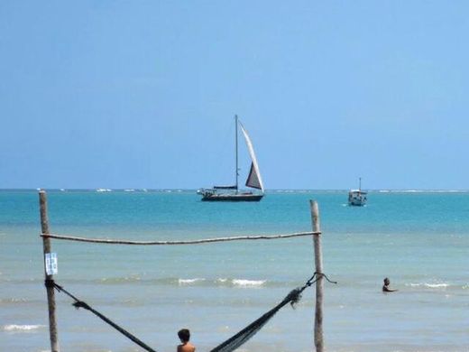 Участок, Cairu, Bahia