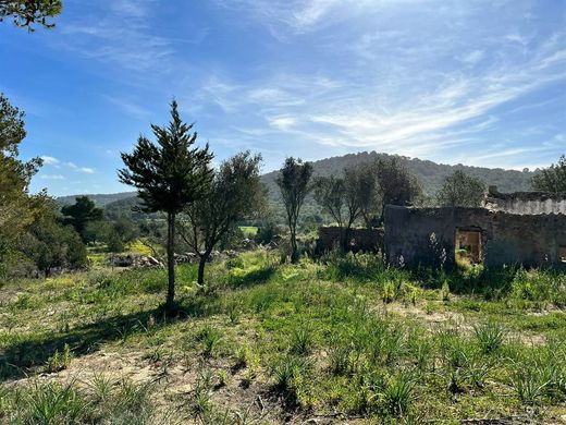 ‏בתי כפר ב  איביזה, Illes Balears