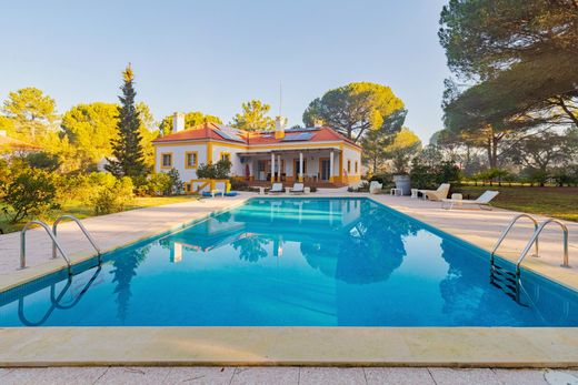 Einfamilienhaus in Alcácer do Sal, Distrito de Setúbal