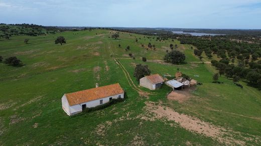 Terreno a Cercal, Figueiró Dos Vinhos
