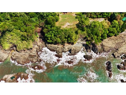 أرض ﻓﻲ Ballena, Osa