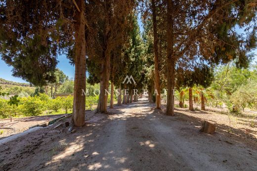 Farm in Náquera, Valencia