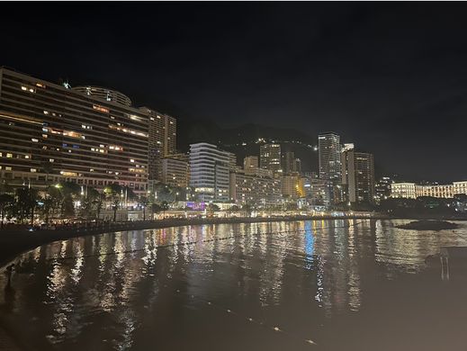 套间/公寓  摩纳哥