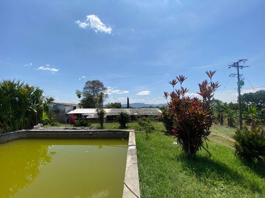 Farm in Montenegro, Quindío Department