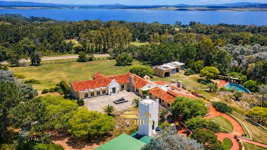 ﻣﺰﺭﻋﺔ ﻓﻲ Punta Ballena, Maldonado