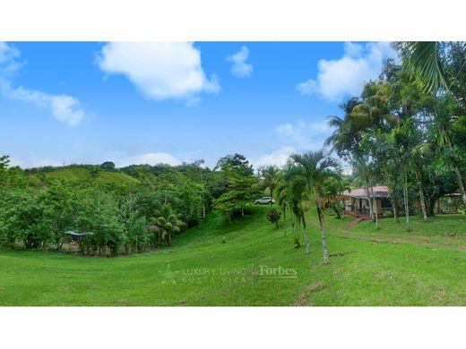 Rural or Farmhouse in San Juan de Mata, Turrubares
