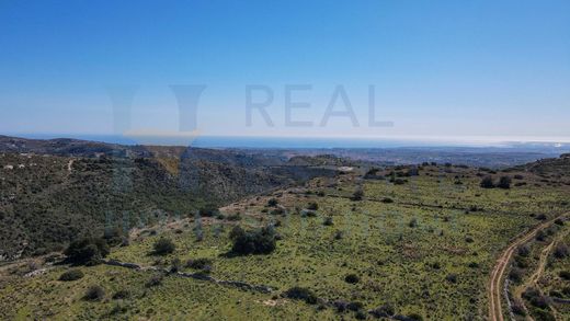 Terreno - Noto, Provincia di Siracusa