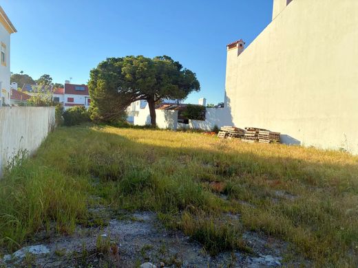 Land in Comporta, Alcácer do Sal