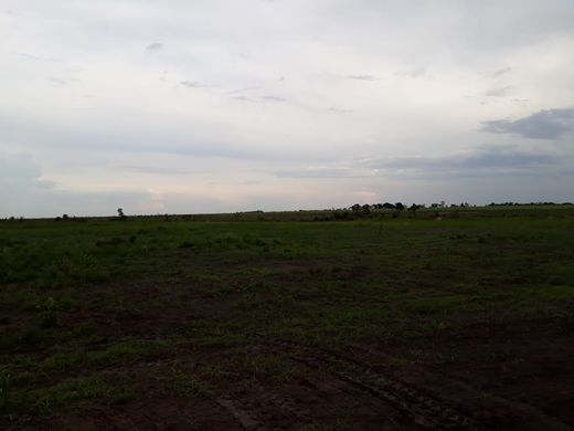 Rural ou fazenda - Confresa, Estado de Mato Grosso