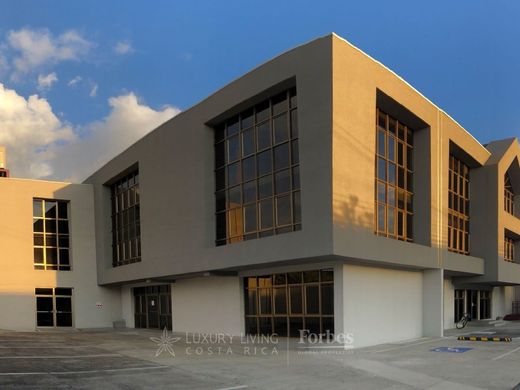 Ofis Mata Redonda, Provincia de San José