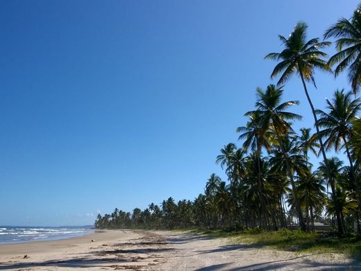 Grundstück in Ilhéus, Bahia