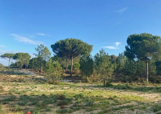 Land in Comporta, Alcácer do Sal