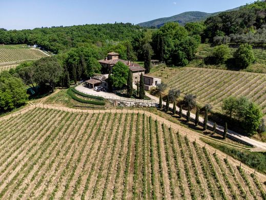 村舍/农舍  Greve in Chianti, 佛罗伦萨省