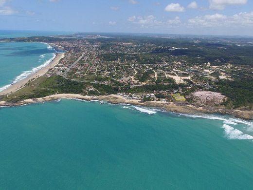토지 / Cabo de Santo Agostinho, Pernambuco