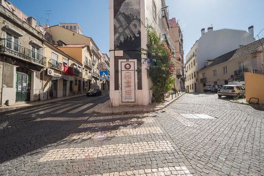 Daire Estrela, Lisbon
