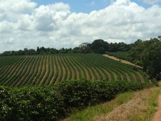 Bauernhof in Muzambinho, Minas Gerais