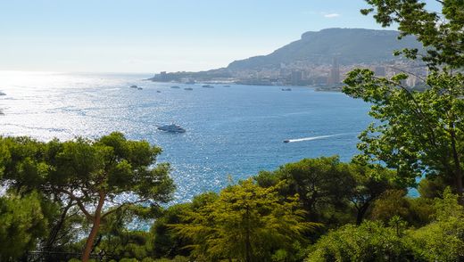 Вилла, Roquebrune-Cap-Martin, Alpes-Maritimes