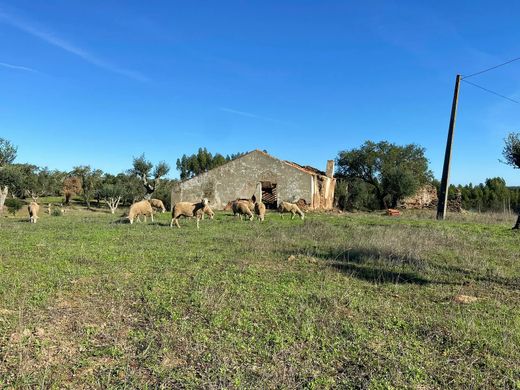 Land in Grândola, Distrito de Setúbal