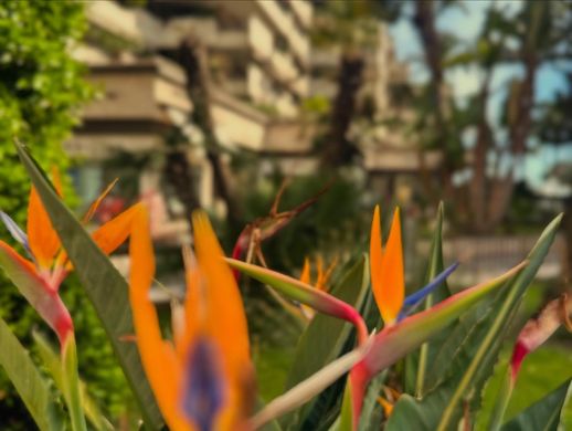 Apartment in Cannes, Alpes-Maritimes