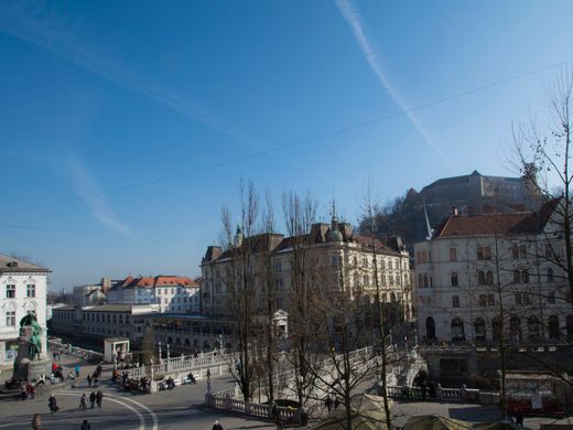 Willa w Lublana, Mestna Občina Ljubljana