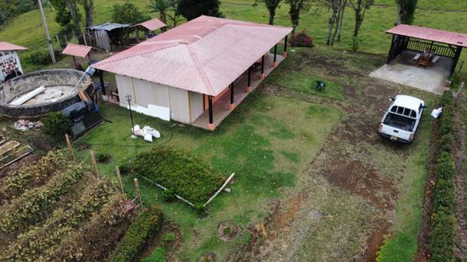 Farm in Salento, Quindío Department