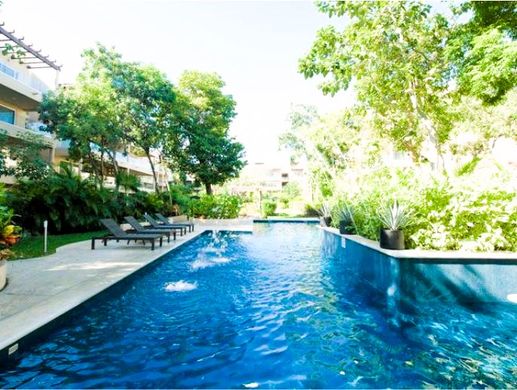 Playacar, Solidaridadのアパートメント