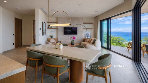 Apartment in Carrillo, Pococí