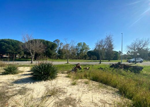 Land in Comporta, Alcácer do Sal