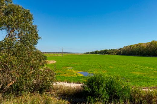 Land in Comporta, Alcácer do Sal