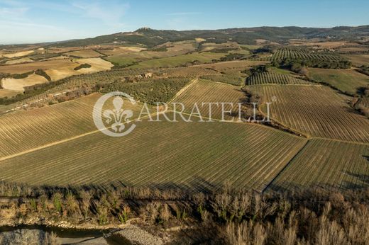 ‏חווה ב  Montalcino, Provincia di Siena