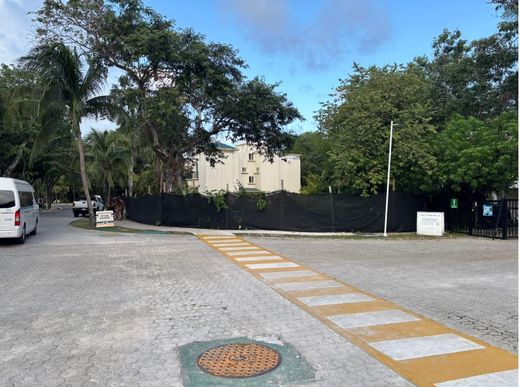 地皮  普拉亞德爾卡曼
, Solidaridad