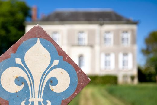 قلعة ﻓﻲ Le Lion-d'Angers, Maine-et-Loire