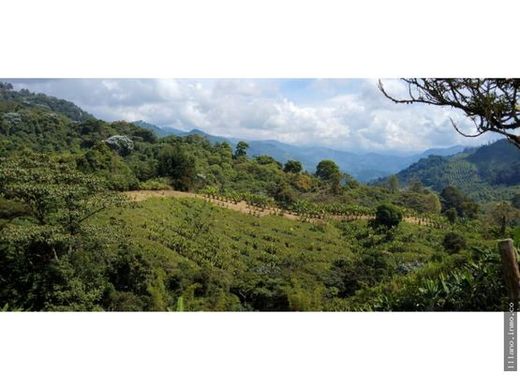 Farm in Pijao, Quindío Department