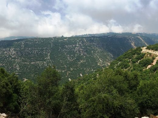 Teren w Aajaltoûn, Mohafazat Mont-Liban