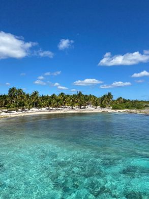 Tulum, キンタナ・ロー州の土地