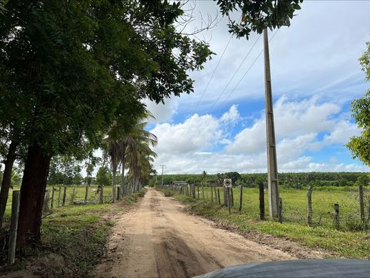 Bauernhof in Nova Viçosa, Bahia