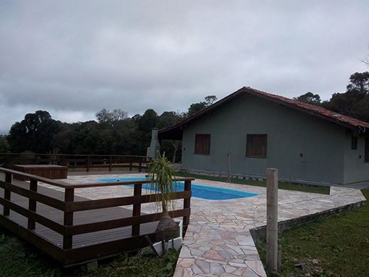 São José dos Pinhais, Paranáの農園