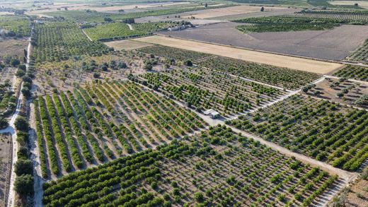 Grond in Noto, Provincia di Siracusa