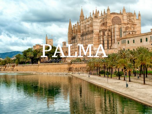 Hotel in Palma de Mallorca, Province of Balearic Islands
