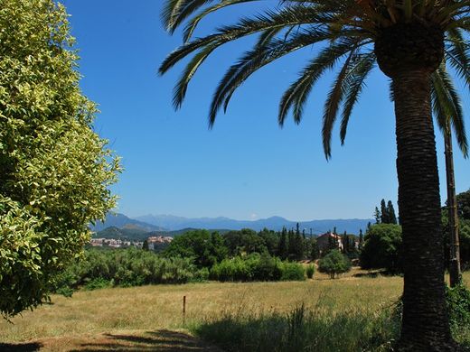 Ajaccio, South Corsicaの土地