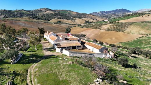 Поместье, Cortijo Grande, Provincia de Jaén