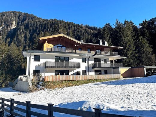 Apartment in Mayrhofen, Politischer Bezirk Zell am See