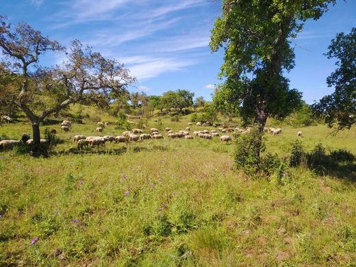 Land in Santiago do Cacém, Distrito de Setúbal