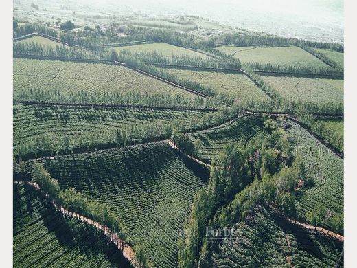 Villa a Heredia, Cantón de Heredia