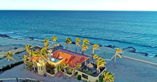 토지 / Cabo Pulmo, Los Cabos