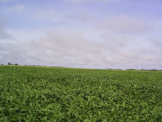 Rural ou fazenda - Palmas, Tocantins