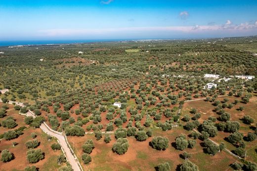 地皮  Ostuni, 布林迪西省