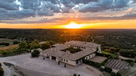 Luxury home in Argamasilla de Alba, Ciudad Real